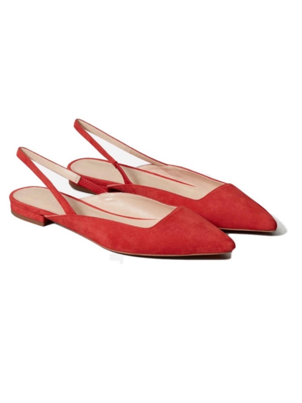 NEW Everlane The Editor Slingback in Persimmon size 6.5 women’s shoes flats